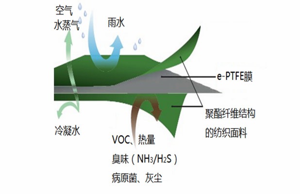 核心分子膜系统
